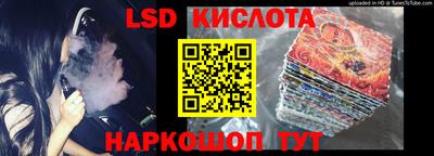 индика Кулебаки