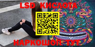 индика Кулебаки